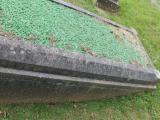 image of grave number 518797